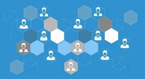 仁懷網(wǎng)絡(luò)推廣實戰(zhàn) 技術(shù)原理、核心參數(shù)與區(qū)域品牌突圍之道